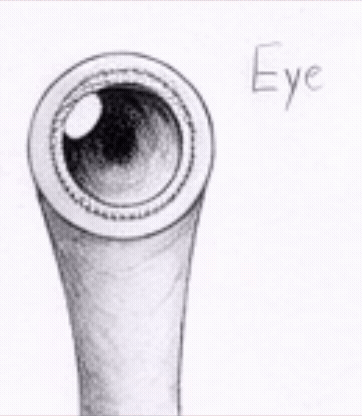 My Crashed Alien Wireframe