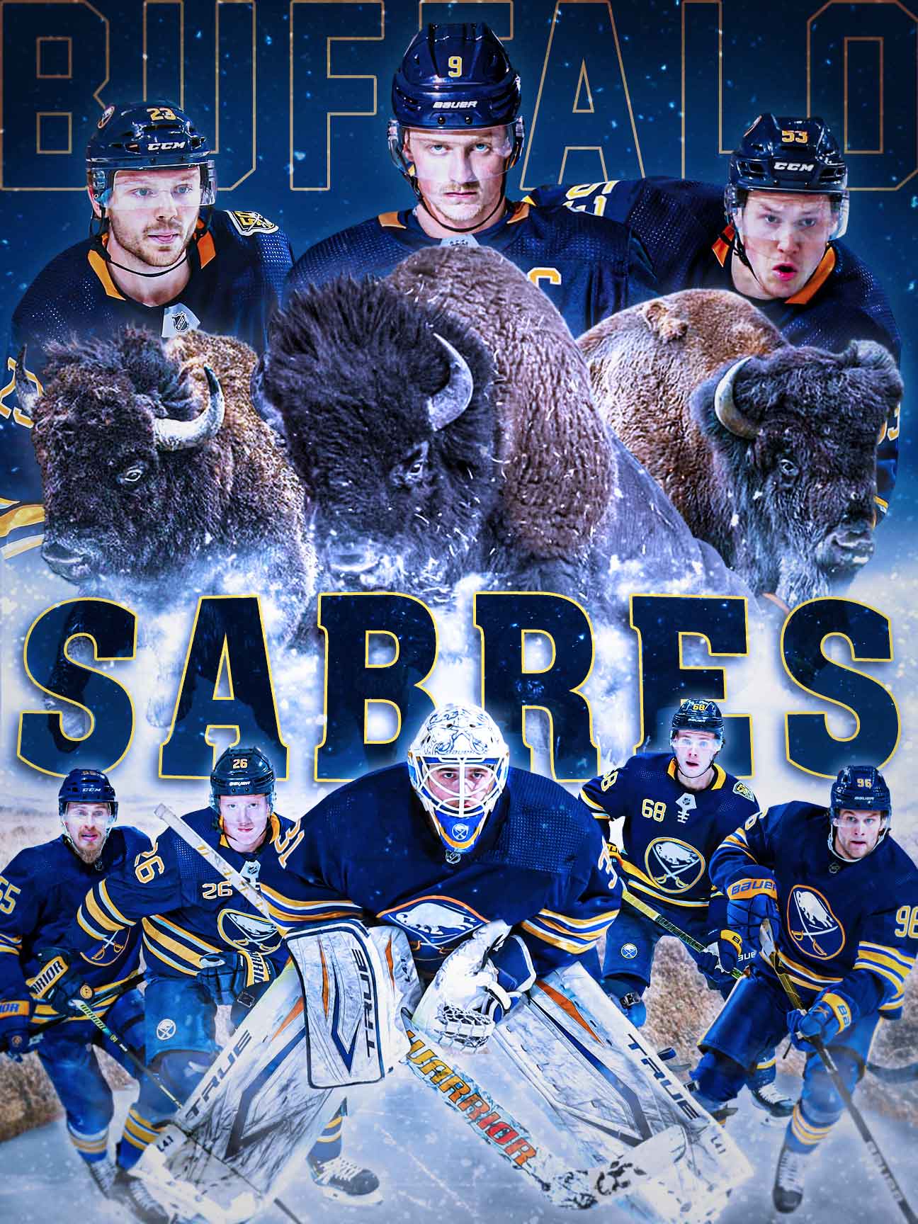 Buffalo Sabres Poster